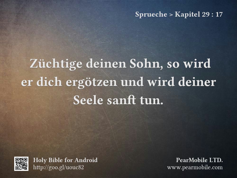 Sprueche, Kapitel 29:17